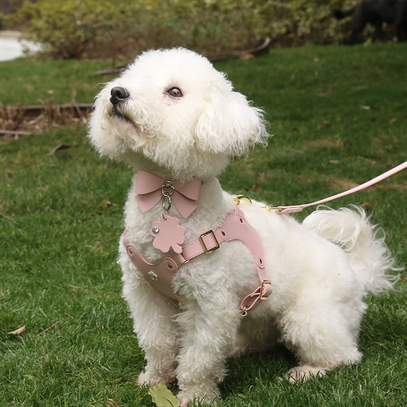 Customizable PU Leather Dog Harness&