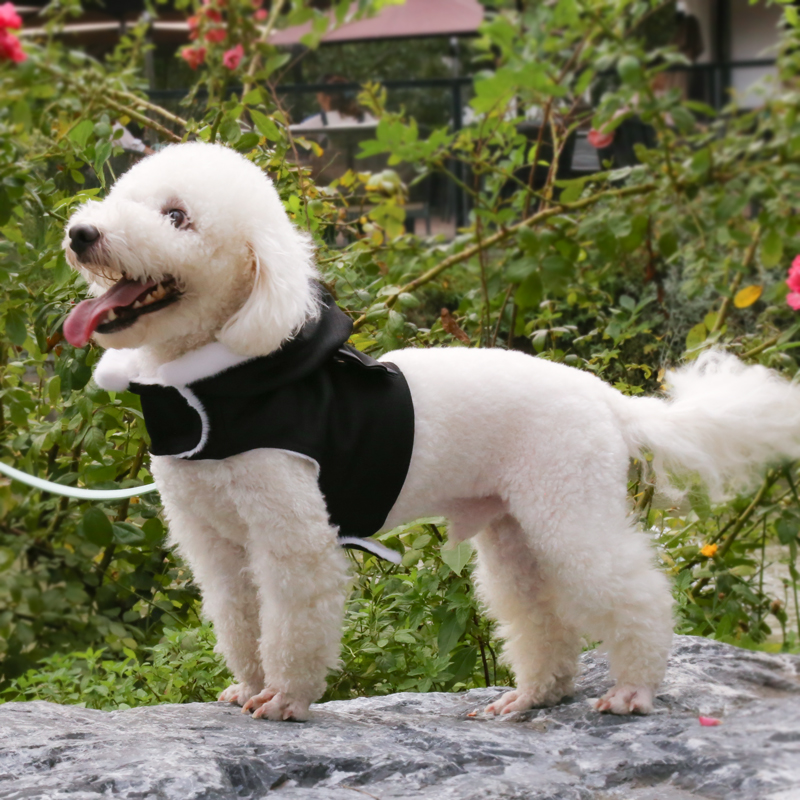 Mink made dog fashion clothes for winter