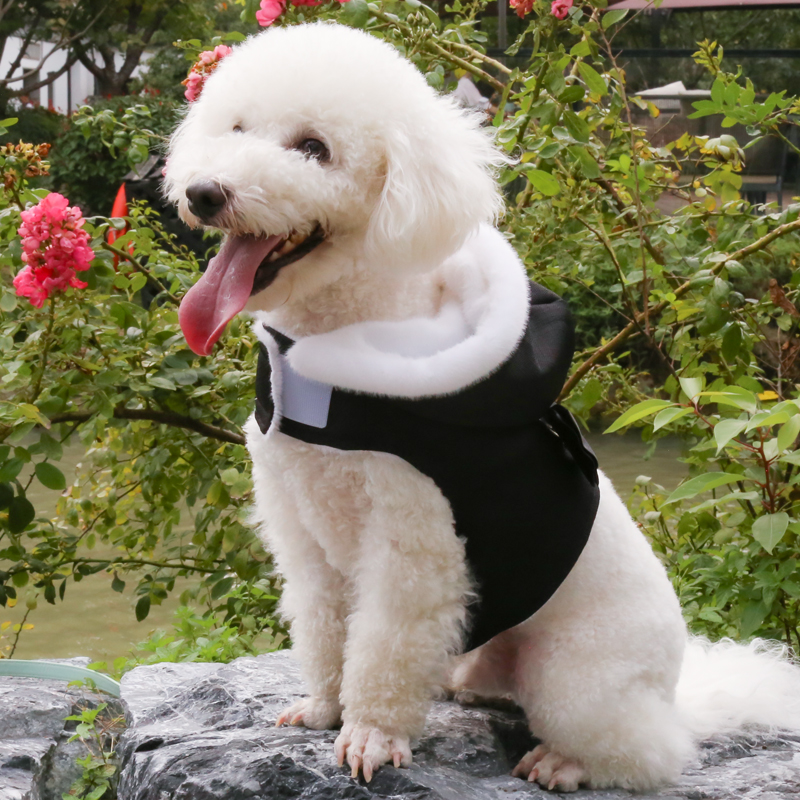 Mink made dog fashion clothes for winter