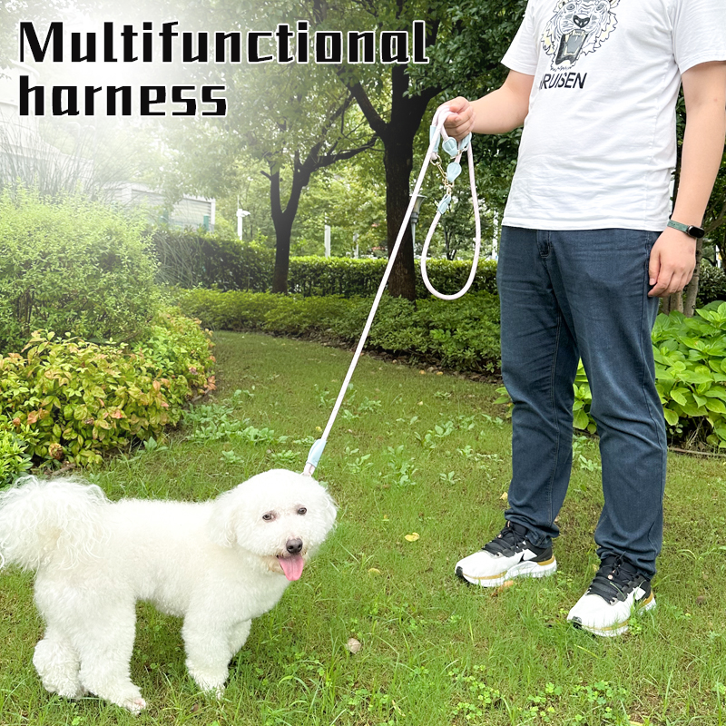 Multi-Functional Dog Leash