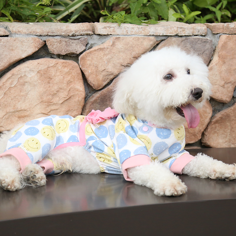 Cartoon Pajama for dogs