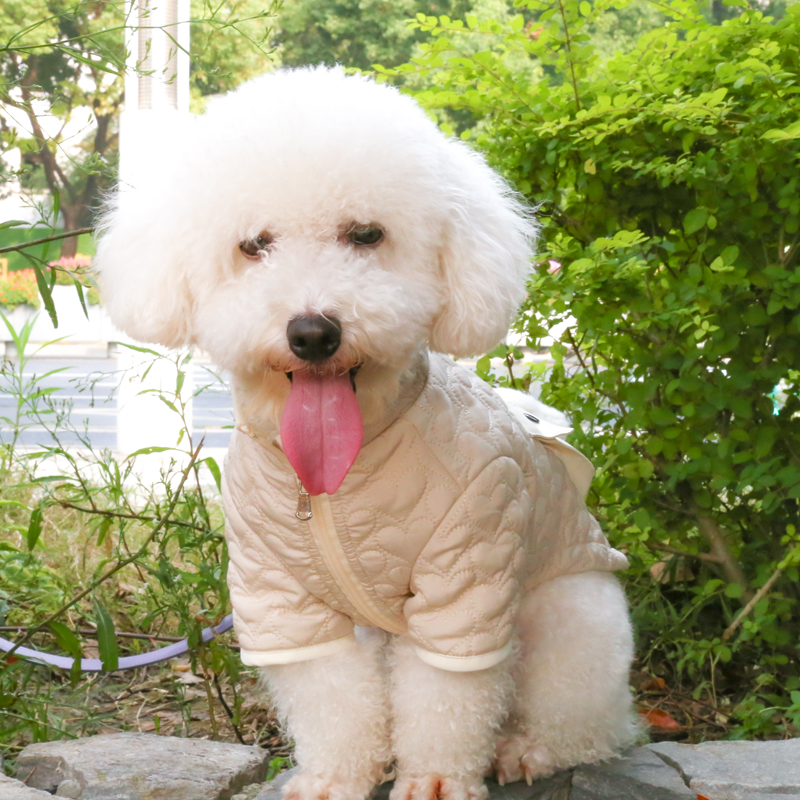Padded jacket for dog