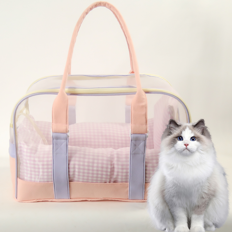 Practical Transparent Mesh Dog