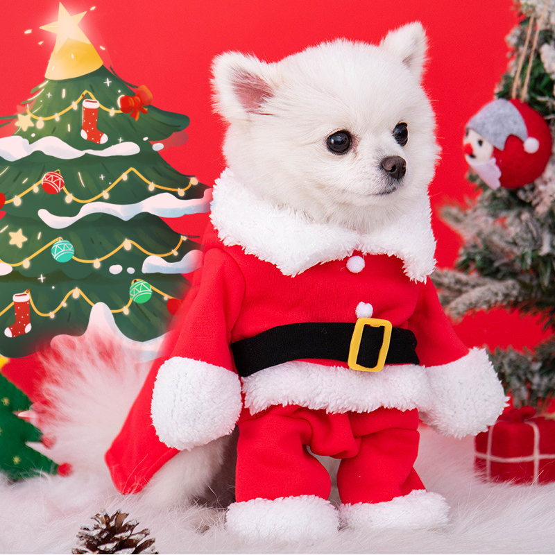 Festive & Cozy Pet Christm